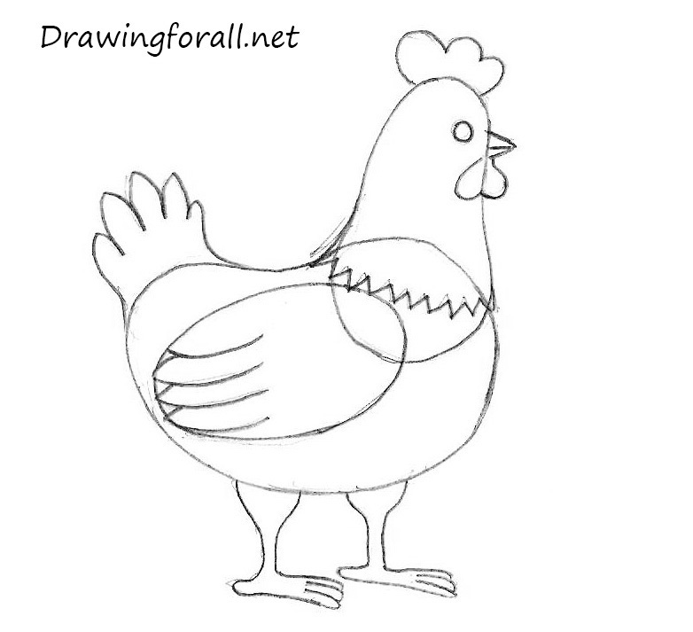 Chicken Image Drawing