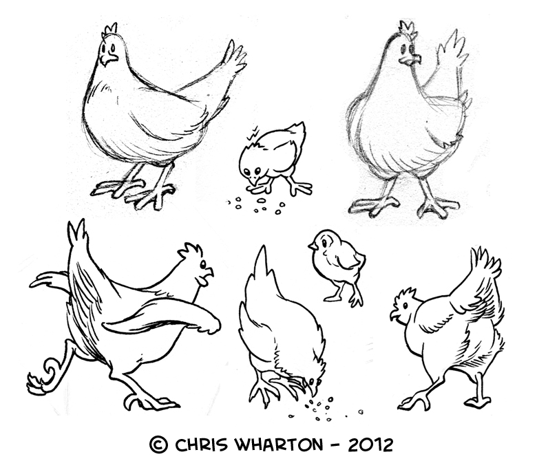 Chicken Photo Drawing
