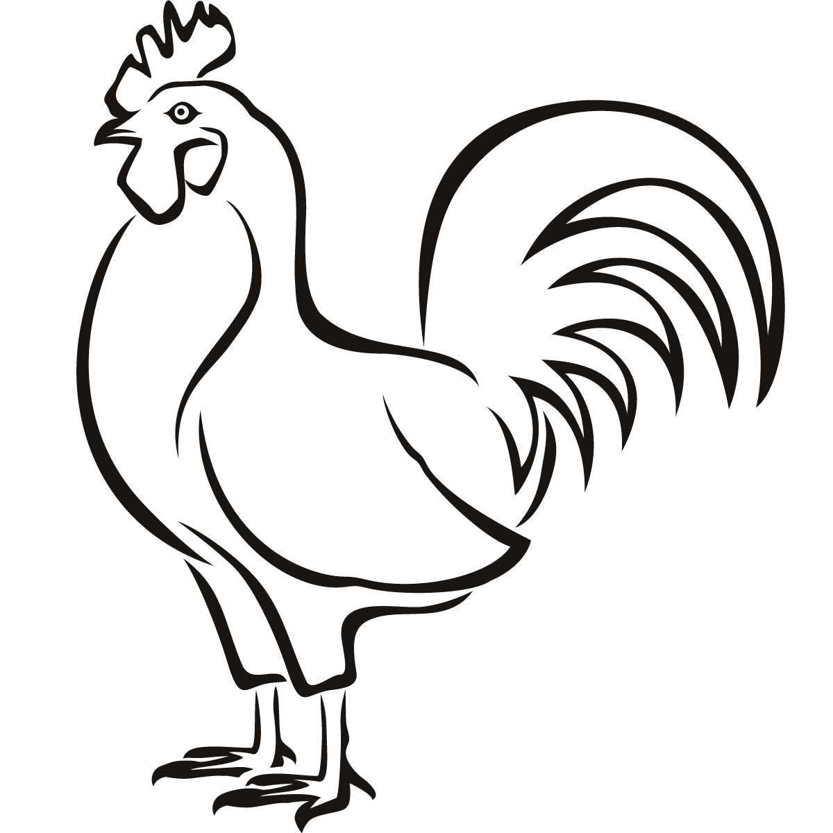Chicken Sketch