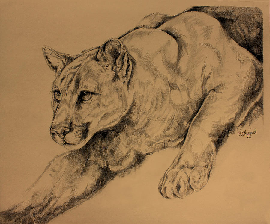 Cougar Art