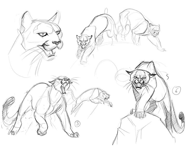 Cougar Image Drawing