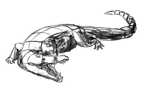 Crocodile Image Drawing