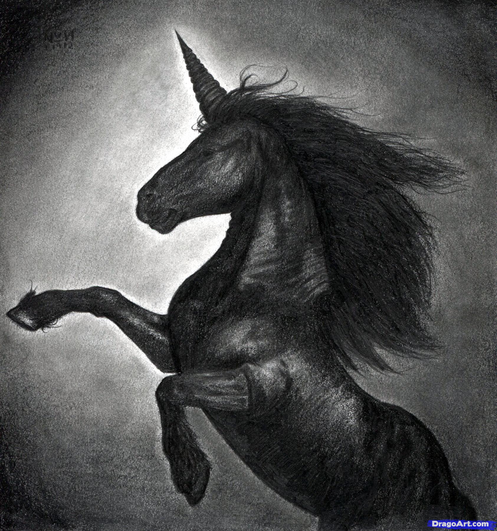 Dark Amazing Drawing