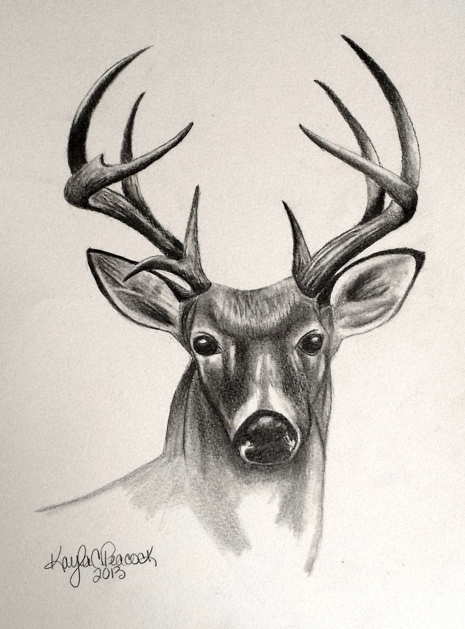 Deer Best Art