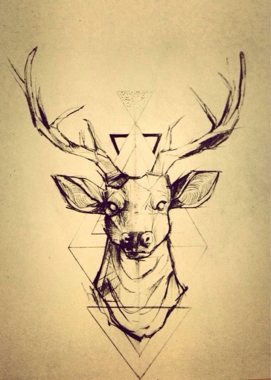 Deer Picture Drawing
