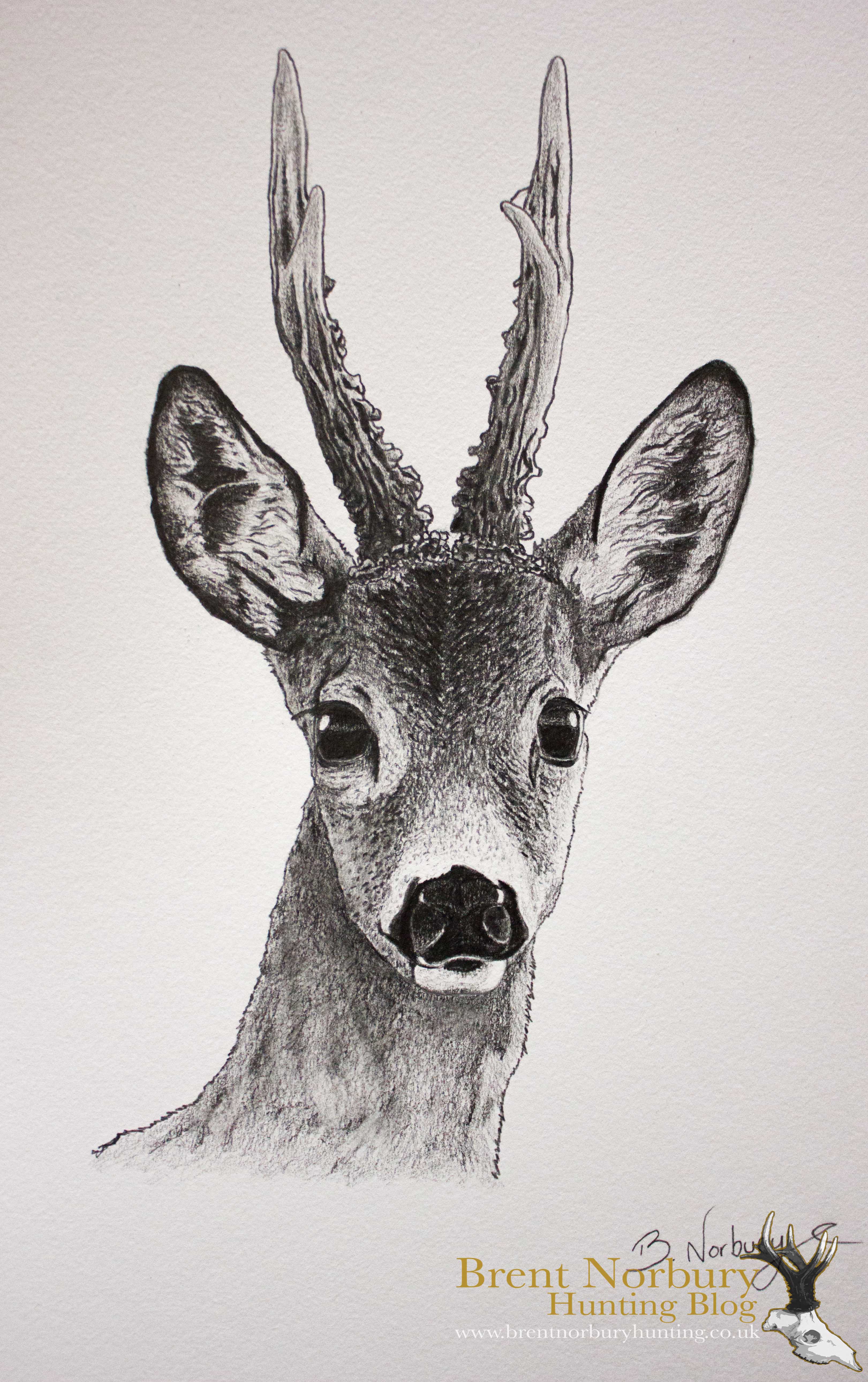 Discover more than 214 deer sketch easy super hot
