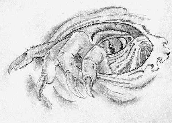 Demon Eyes Realistic Drawing