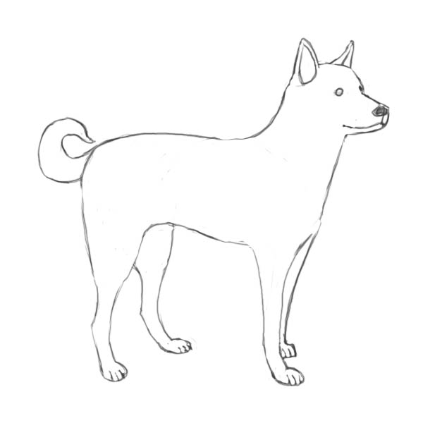 Dog Beautiful Image Drawing