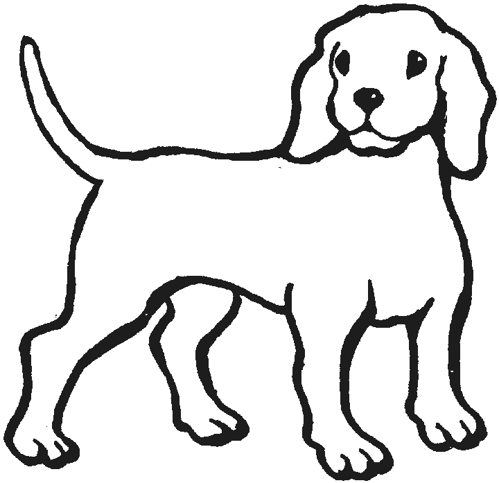 Dog Drawing Pic