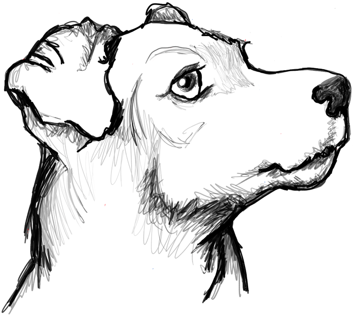 Dog Image Drawing