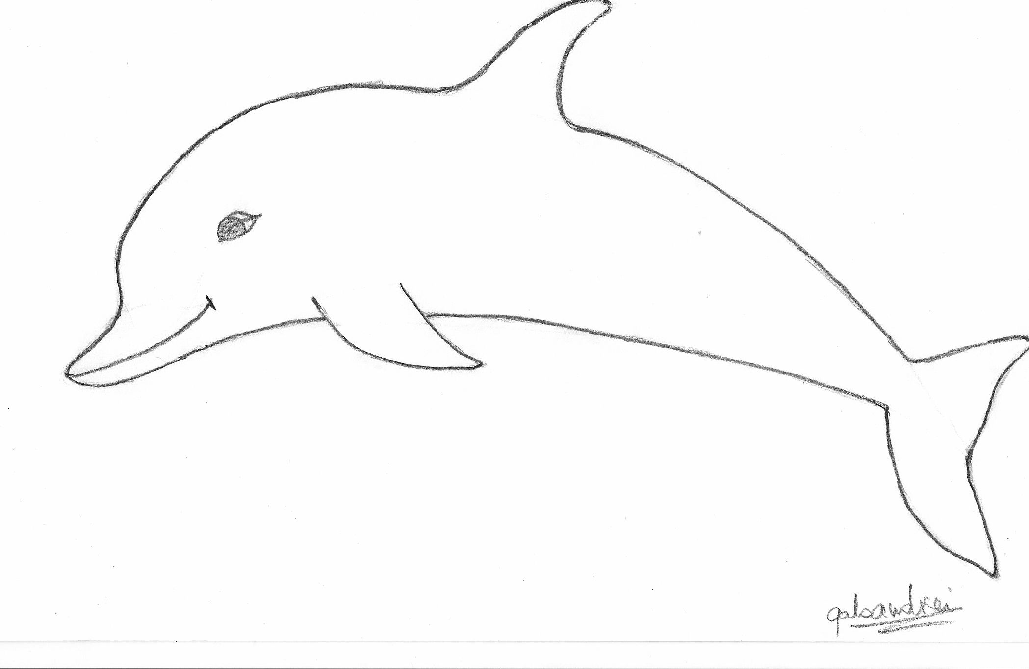 Dolphin Best Art
