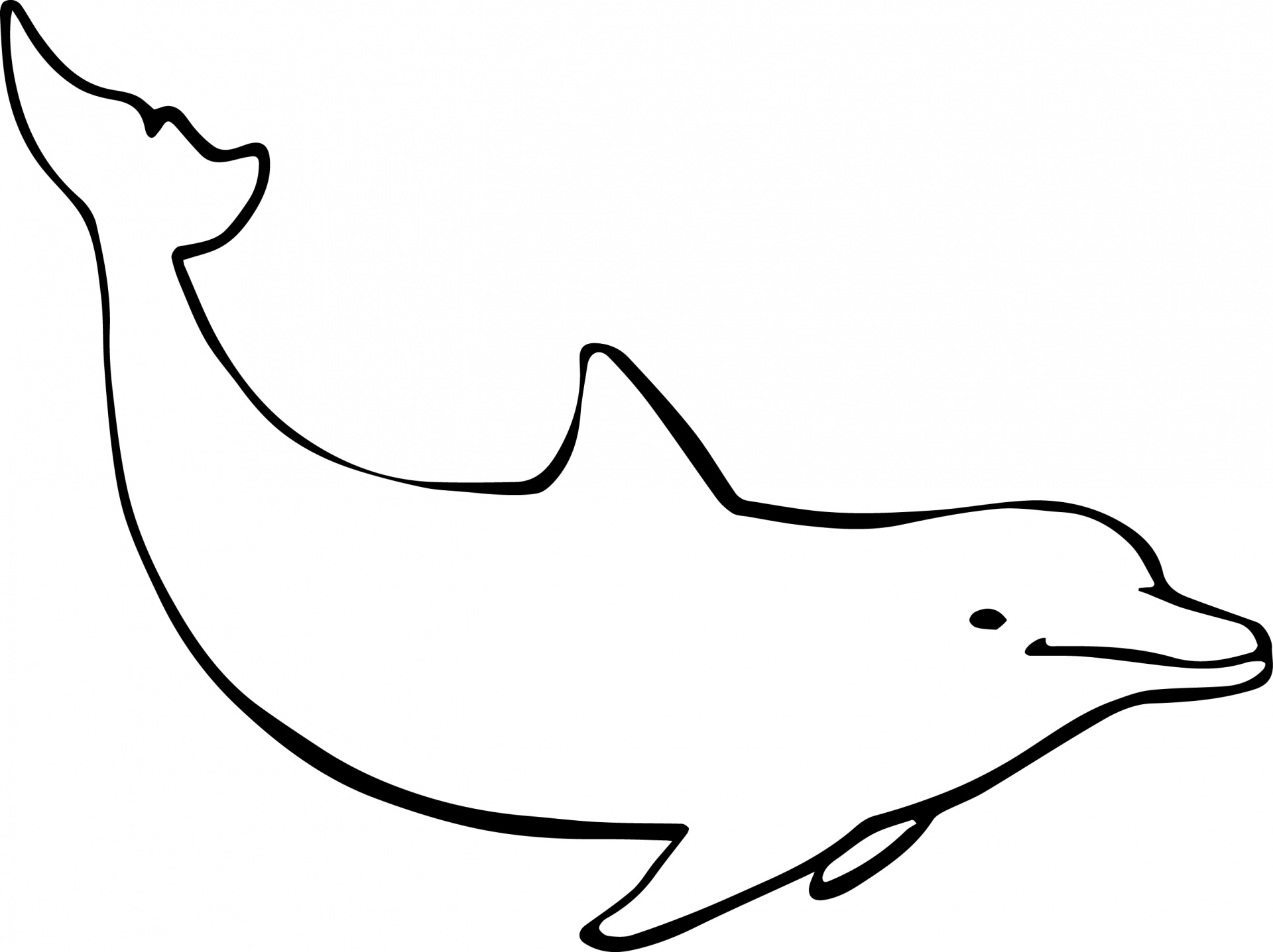 Dolphin Pic Drawing