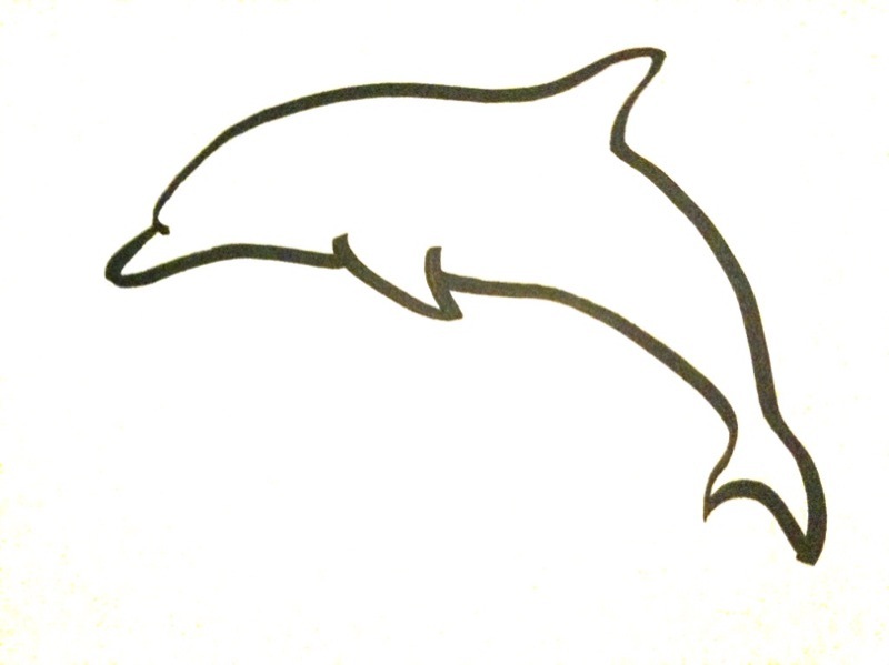 Dolphin Picture Drawing