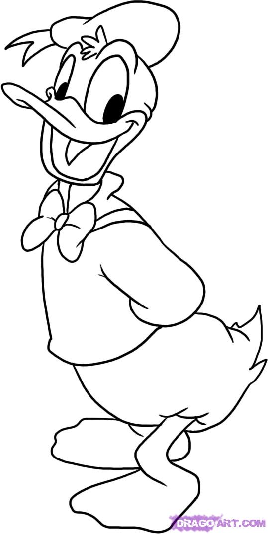 Donald Duck Best Drawing