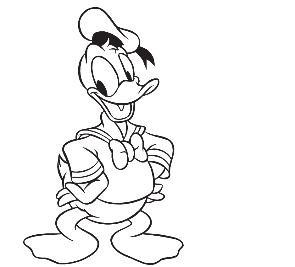 Donald Duck Drawing Pic