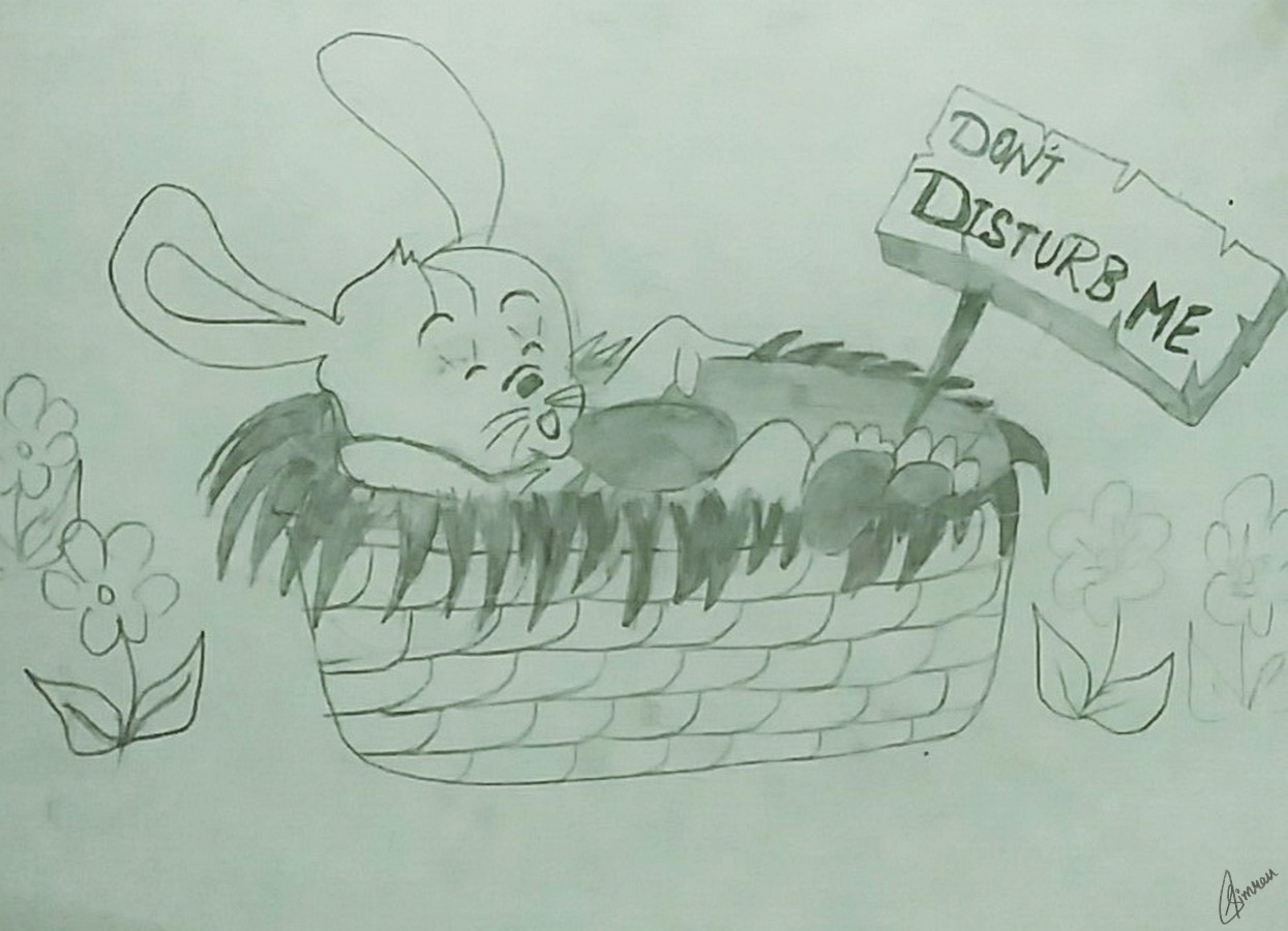 Don’t Disturb The Bunny Drawing