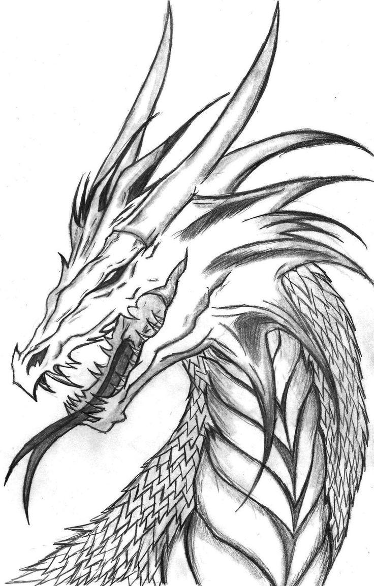 Dragon High-Quality Drawing
