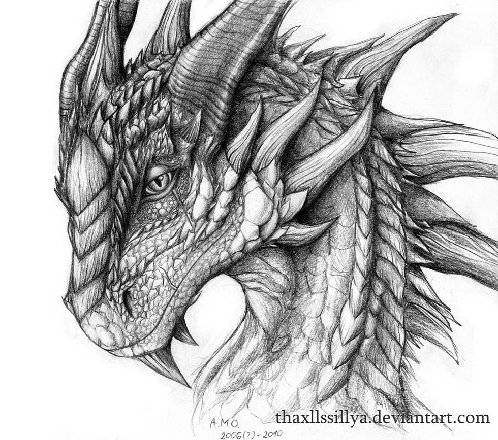 Dragon Image Drawing