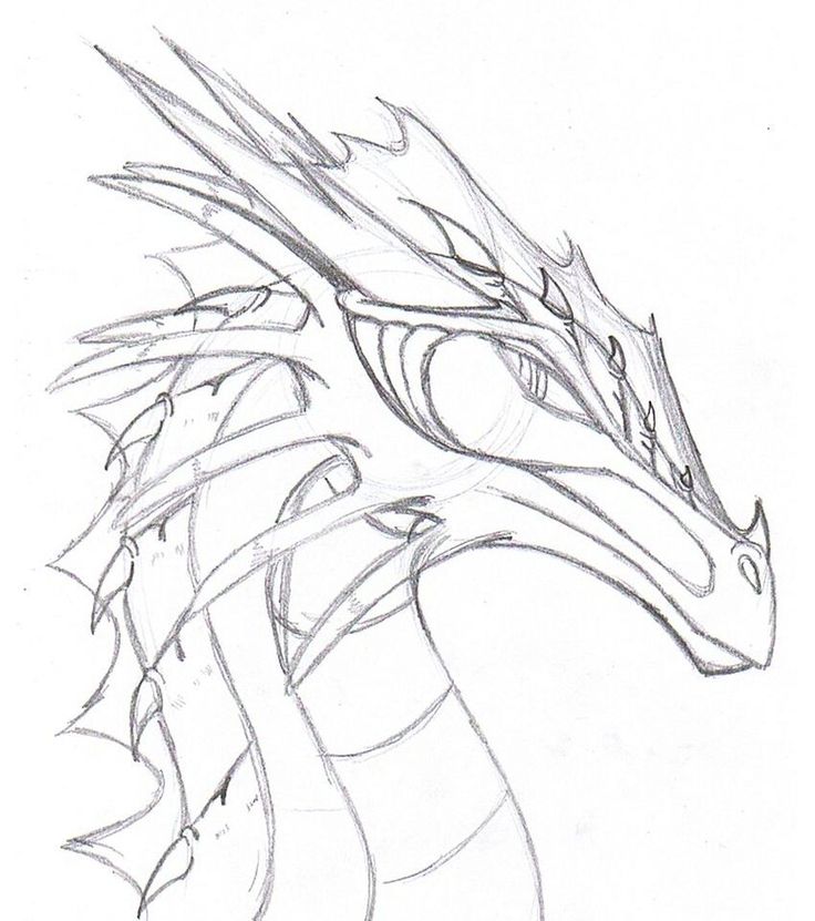 Dragon Photo Drawing