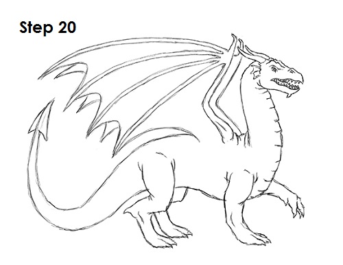 Dragon Pic Drawing