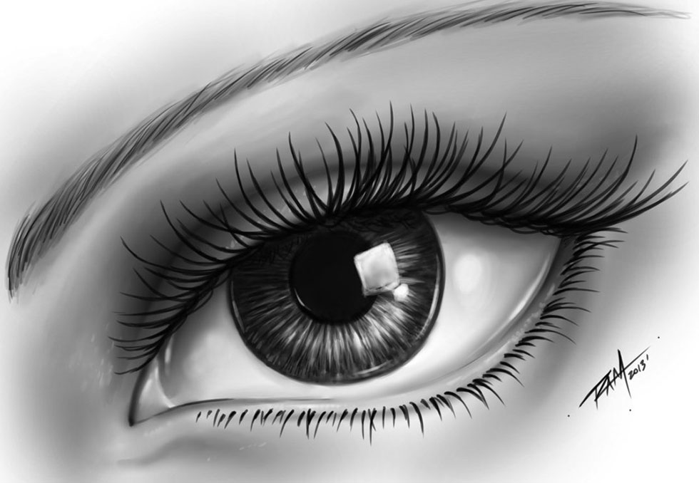 Eye High-Quality Drawing