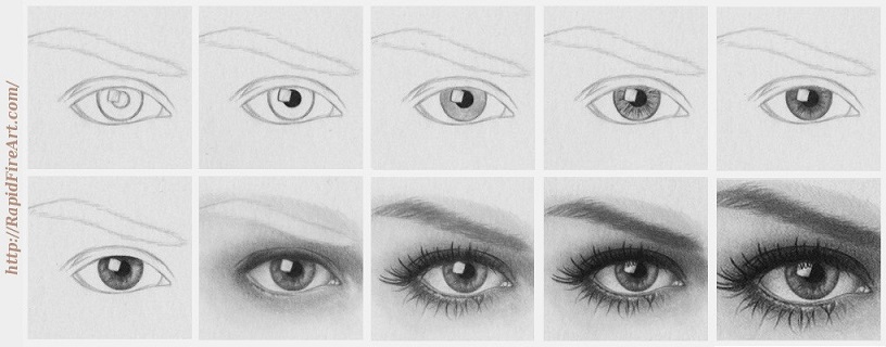Eye Realistic Drawing