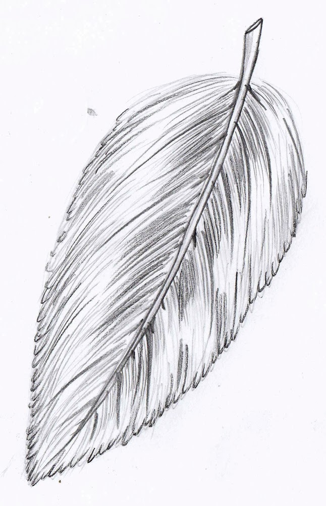 Feather Art