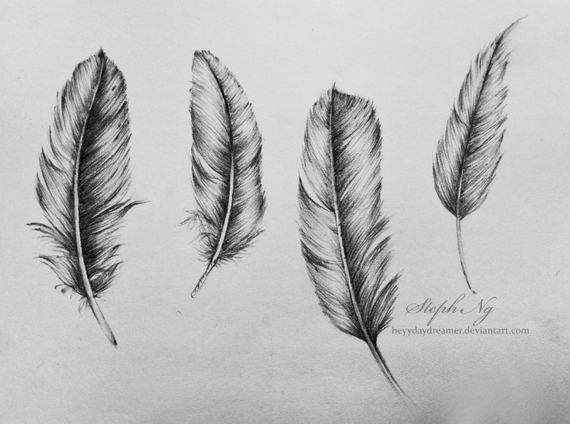 Feather Best Drawing