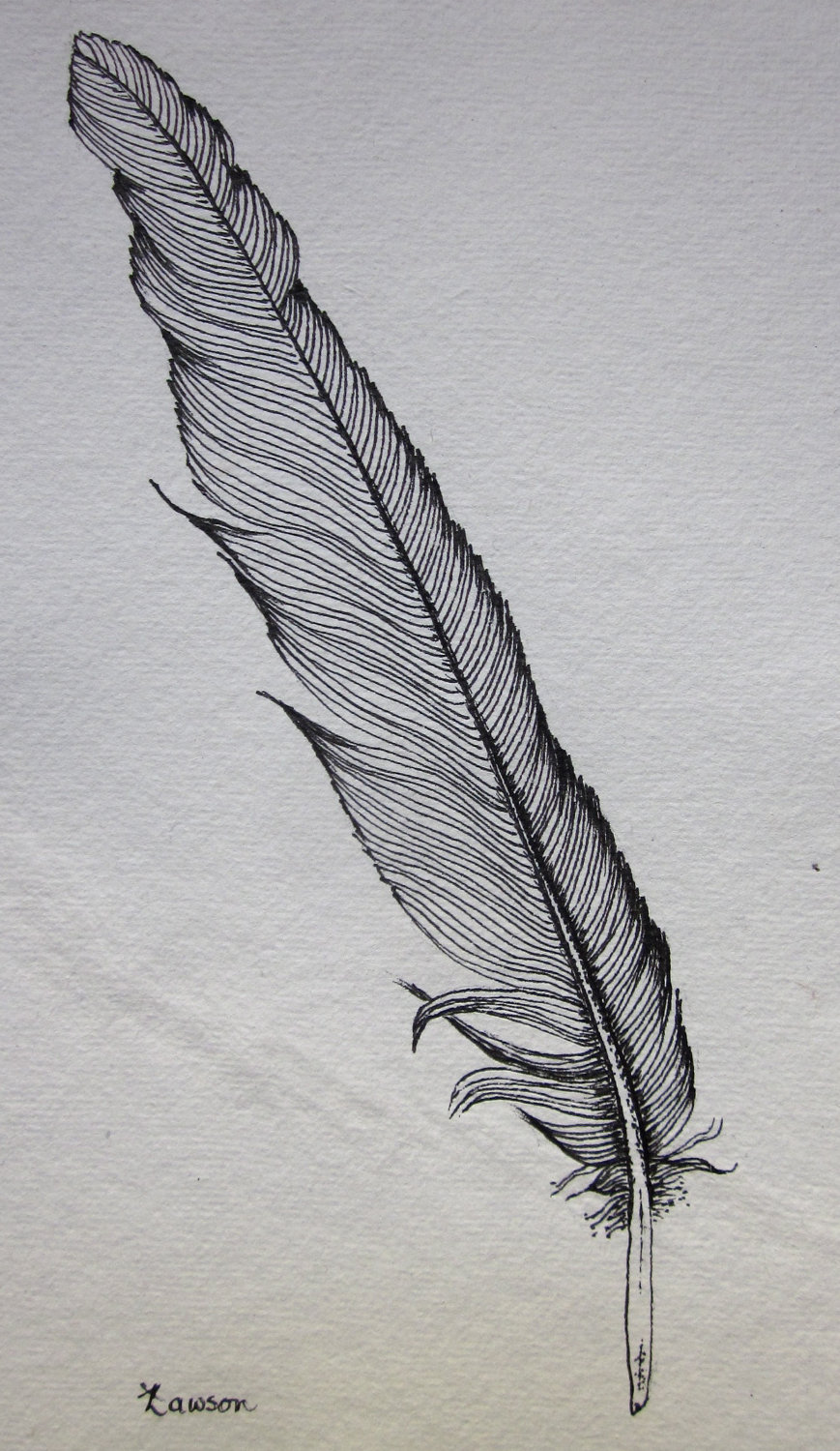 Feather Drawing Art