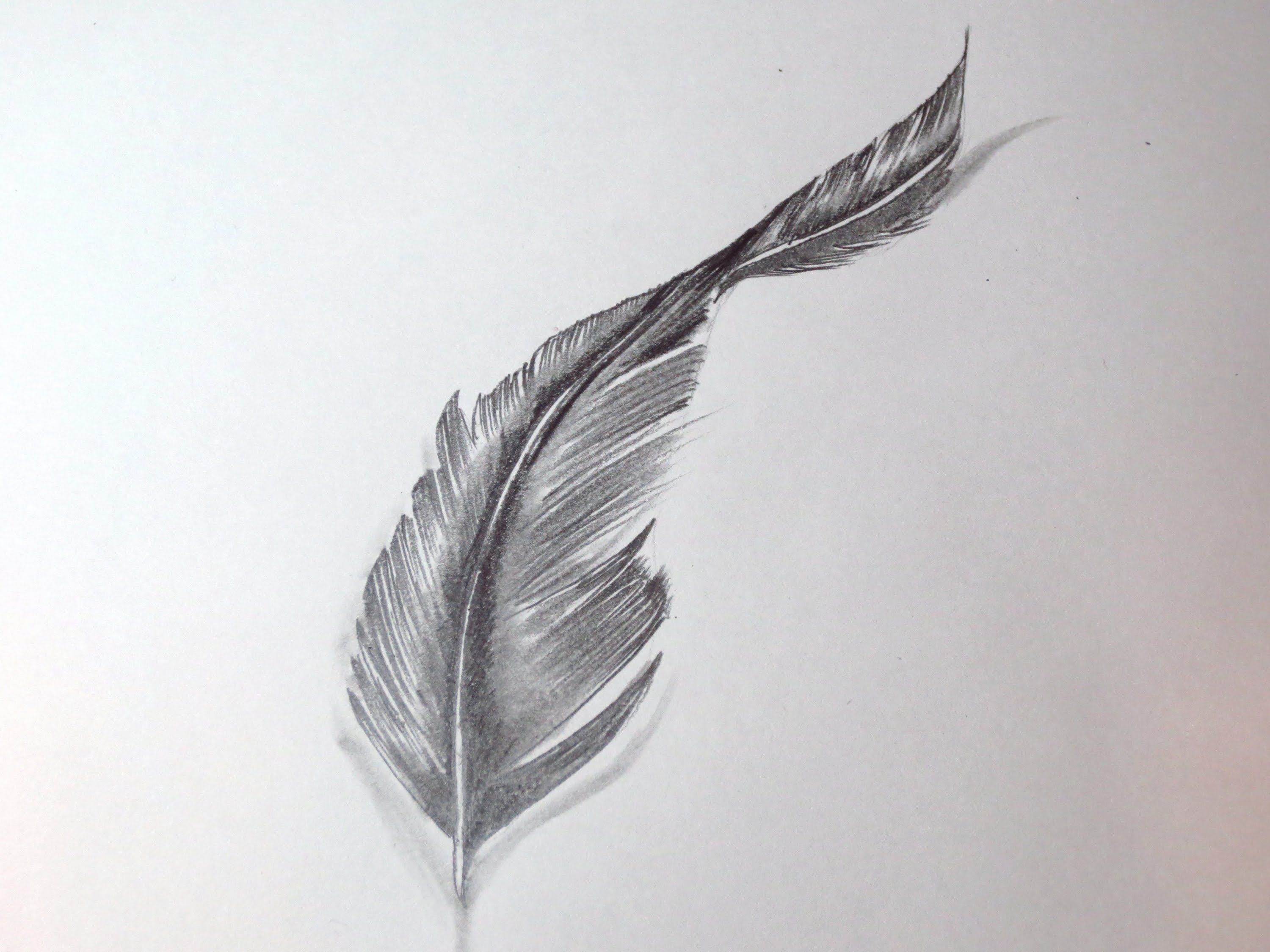 Pencil Sketch Black Feather by Yako on deviantART  Black feathers Feather  drawing Pencil sketch