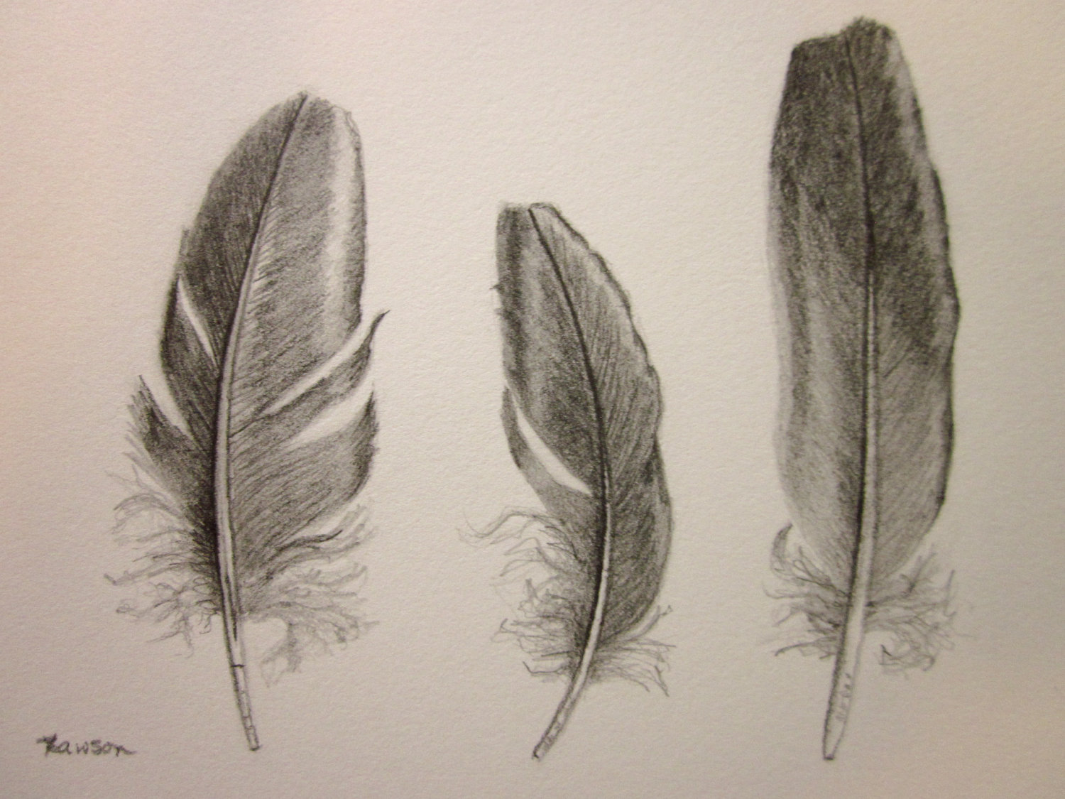 Feather Drawing Image