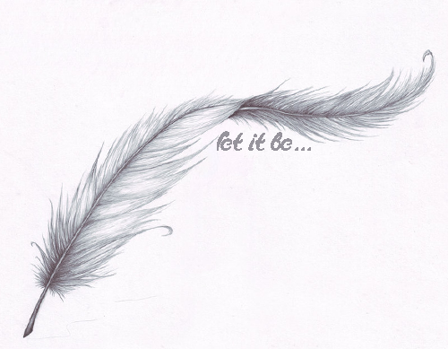 Feather Drawing Photo