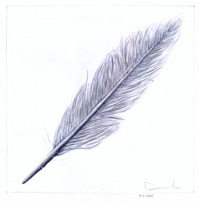 Feather Drawing Picture
