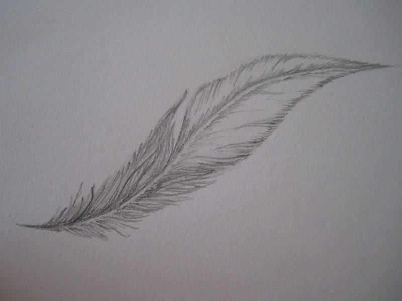 Feather High-Quality Drawing