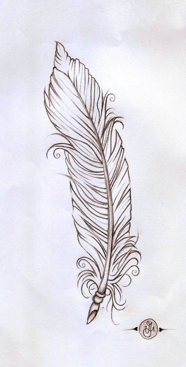 Feather Image Drawing