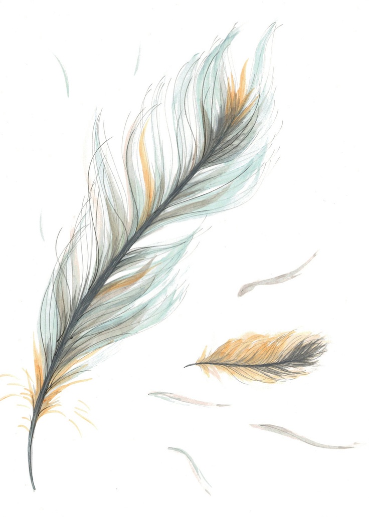 Feather Photo Drawing