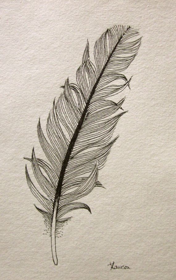 Feather Realistic Drawing