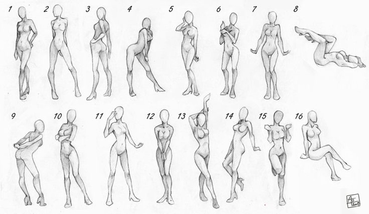 Female Body Drawing