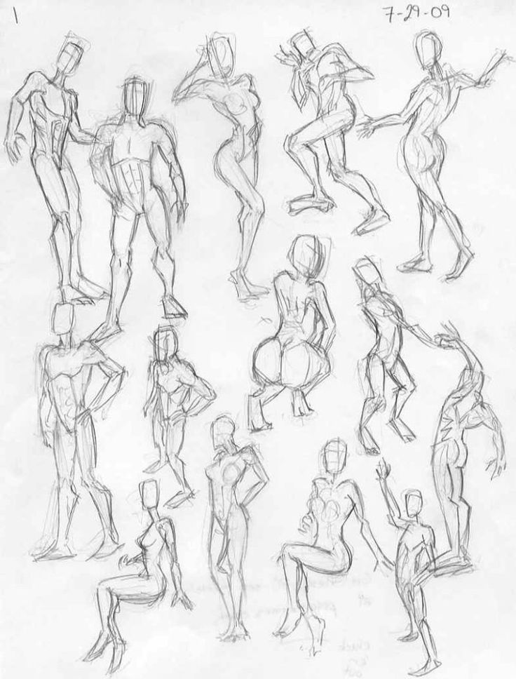 Female Body Pic Drawing