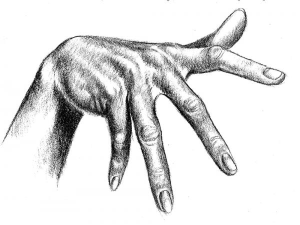 Fingers Drawing