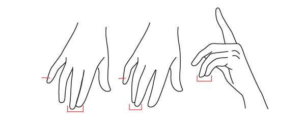 Fingers Sketch