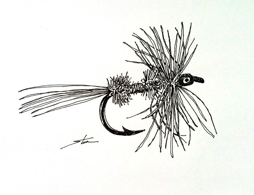 Fly Photo Drawing