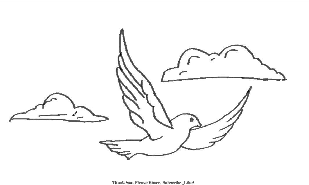 Flying Bird Best Drawing