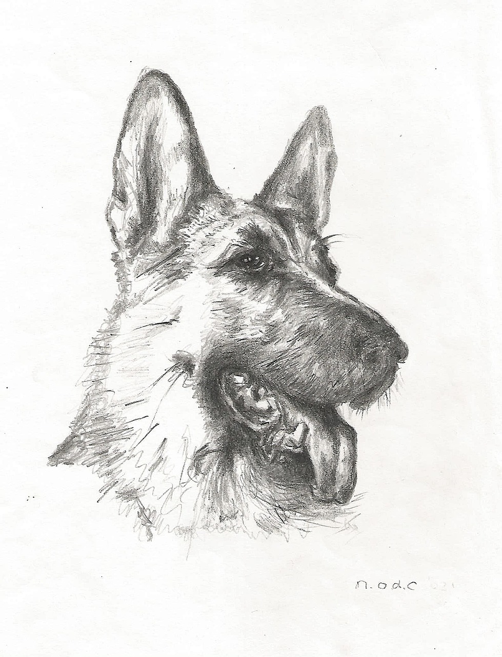 German Shepherd Pic Drawing