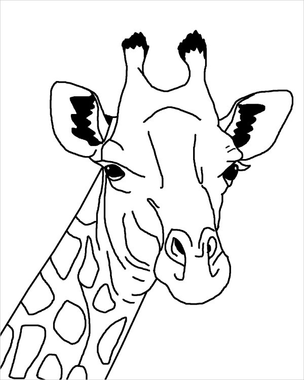 Giraffe Beautiful Image Drawing
