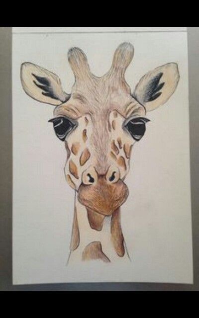 Giraffe Image Drawing