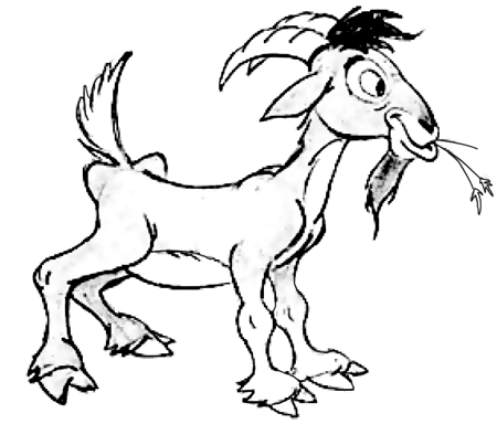 Goat Beautiful Image Drawing