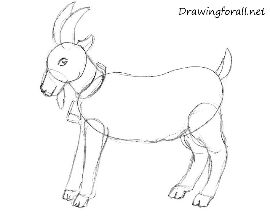 Goat Image Drawing