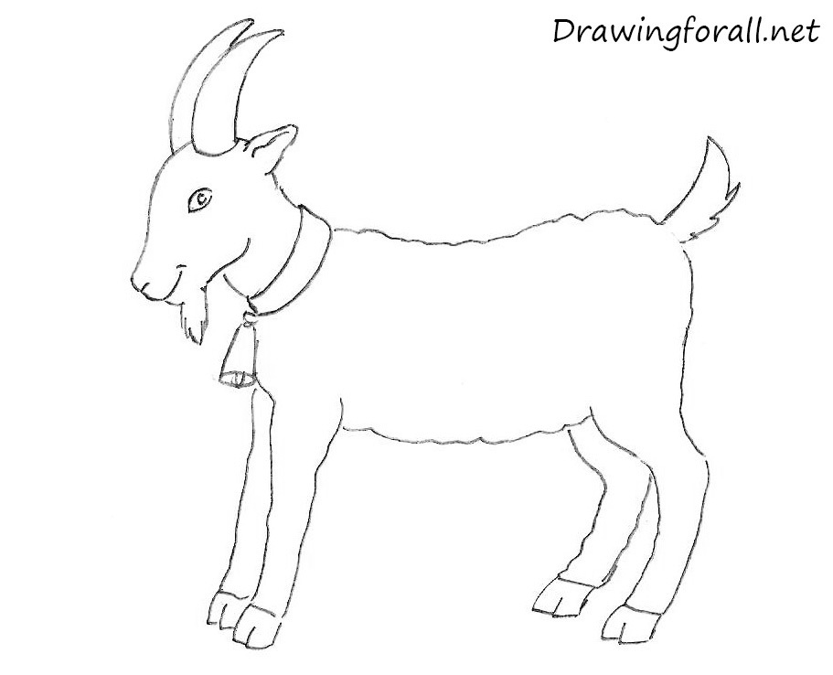 Goat Picture Drawing