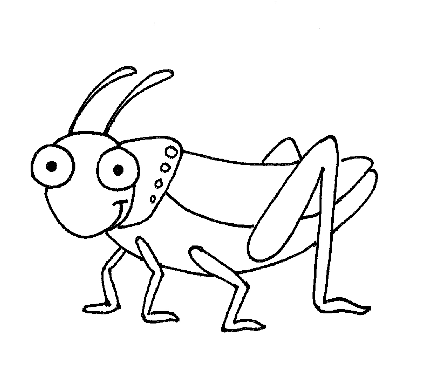 Grasshopper Drawing